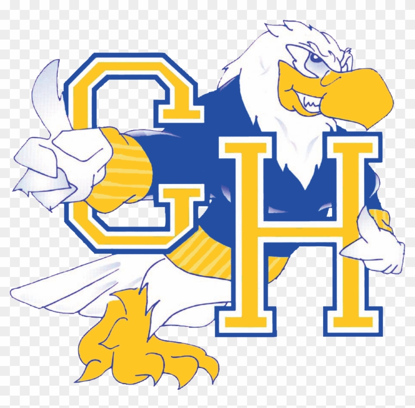 Hayden Logo Falcon - Carl Hayden High School Logo #585253