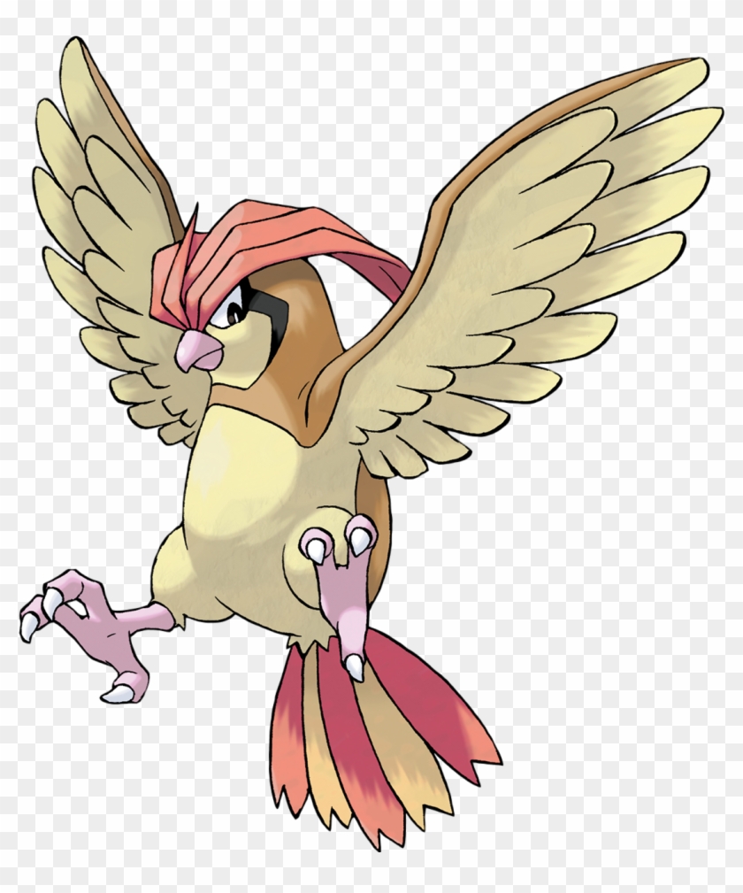 0 Replies 1 Retweet 6 Likes - Pokemon Go Pidgeotto #585382