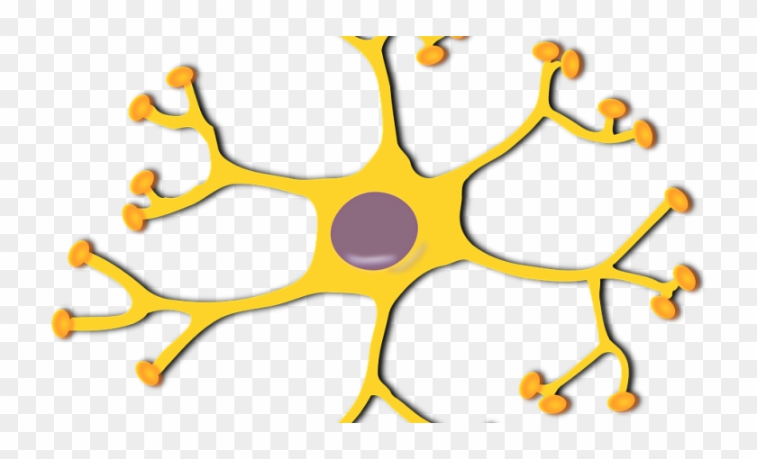 Have You Ever Heard Of Complex Regional Pain Syndrome - Motor Neuron Clipart #585462