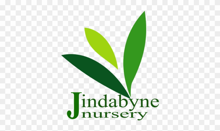 Jindabyne Nursery - Ca Oh 2 Co2 #585478