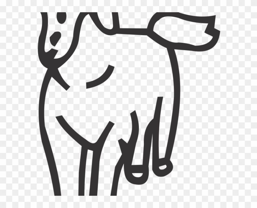 Horse - Horse #585882