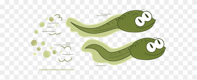 Click To Save Image - Frog Tadpole Clipart #585965