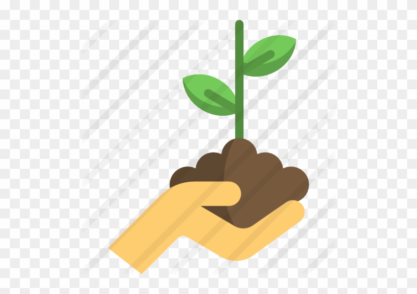 Growing Plant - Soil #585996