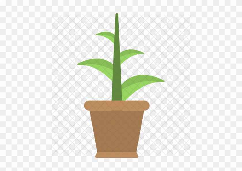 Plant Pot Icon - Flowerpot #586035