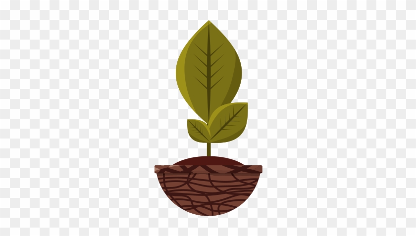 Plant In Pot Vector Illustration - Illustration #586278