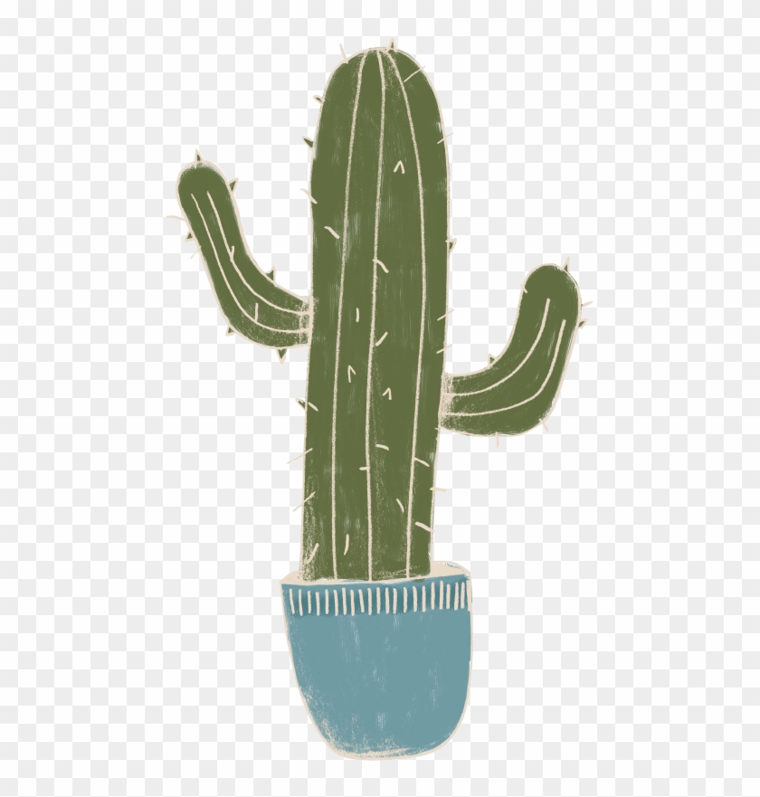 San Pedro Cactus #586293