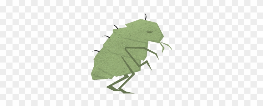 Grasshopper #586301