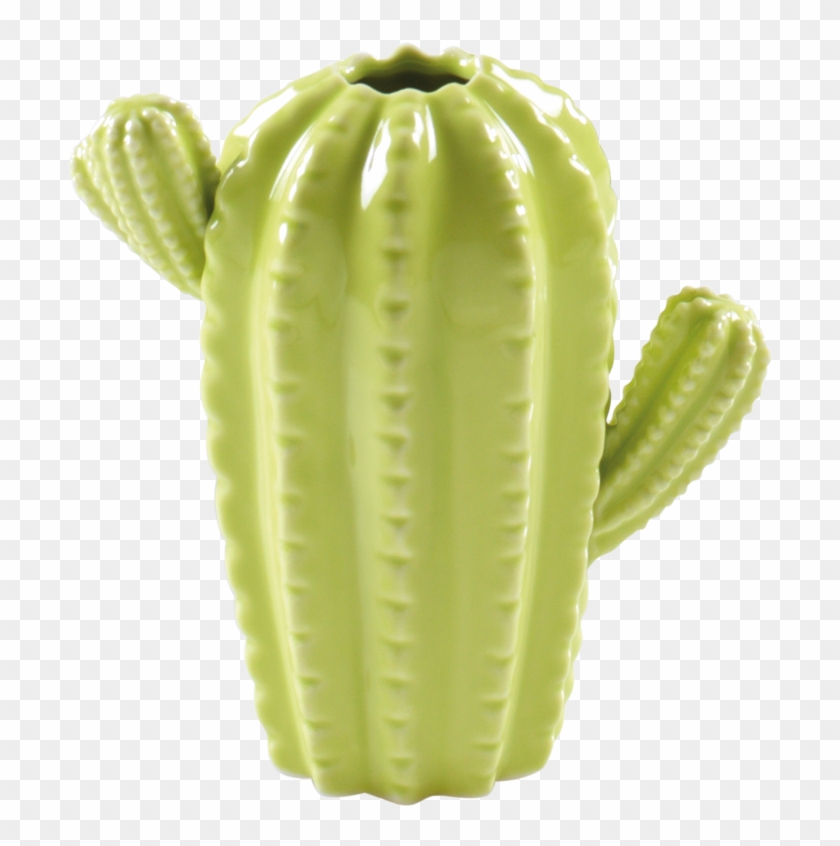 Vaso Cactus In Ceramica - San Pedro Cactus #586393