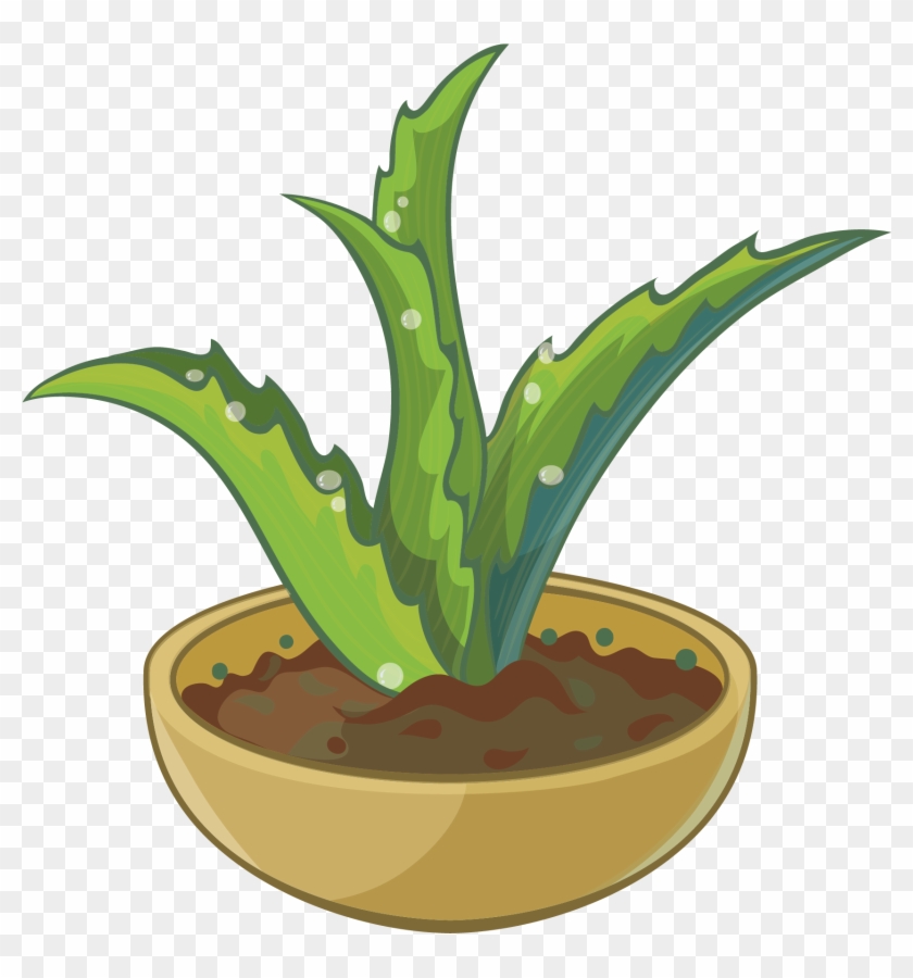 Aloe Cartoon - Aloe Potted - Aloe Cartoon - Aloe Potted #586434