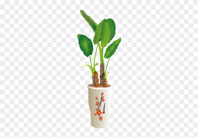 Vintage Flowerpot With Cactus 567*567 Transprent Png - 家居 设计 #586516