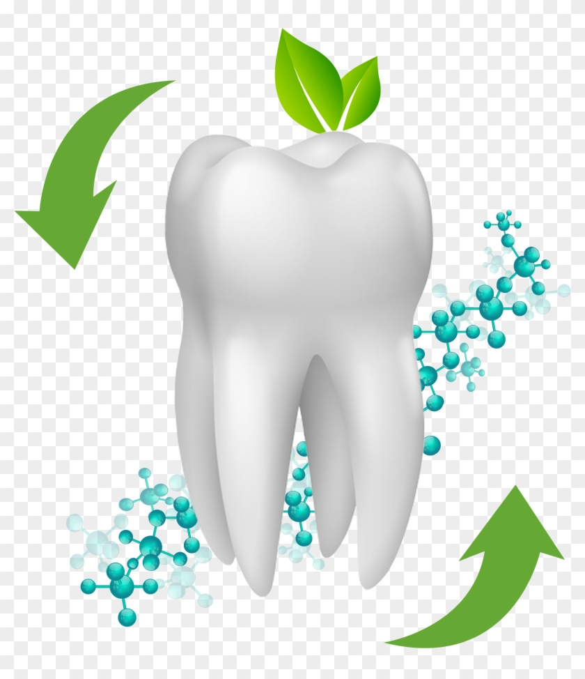 Liner Anti-microbien, Pour Les Sensibilités Dentinaires - Liner Anti-microbien, Pour Les Sensibilités Dentinaires #586529