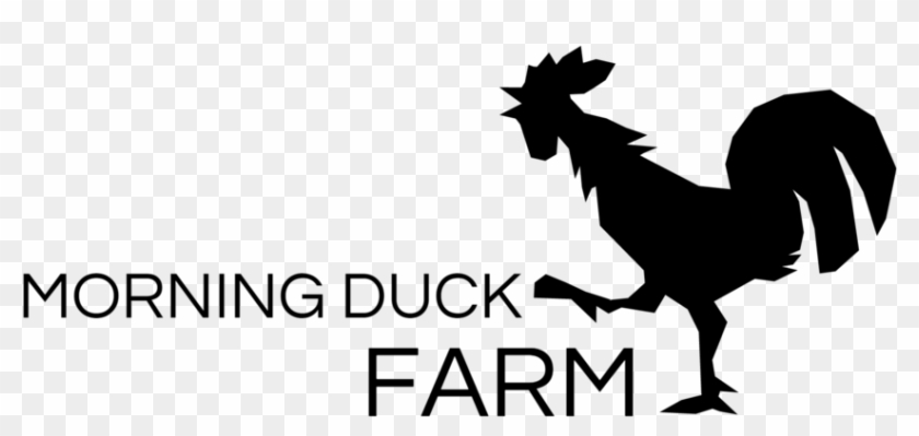 There Once Was A Rooster Named Morning Duck - There Once Was A Rooster Named Morning Duck #587055