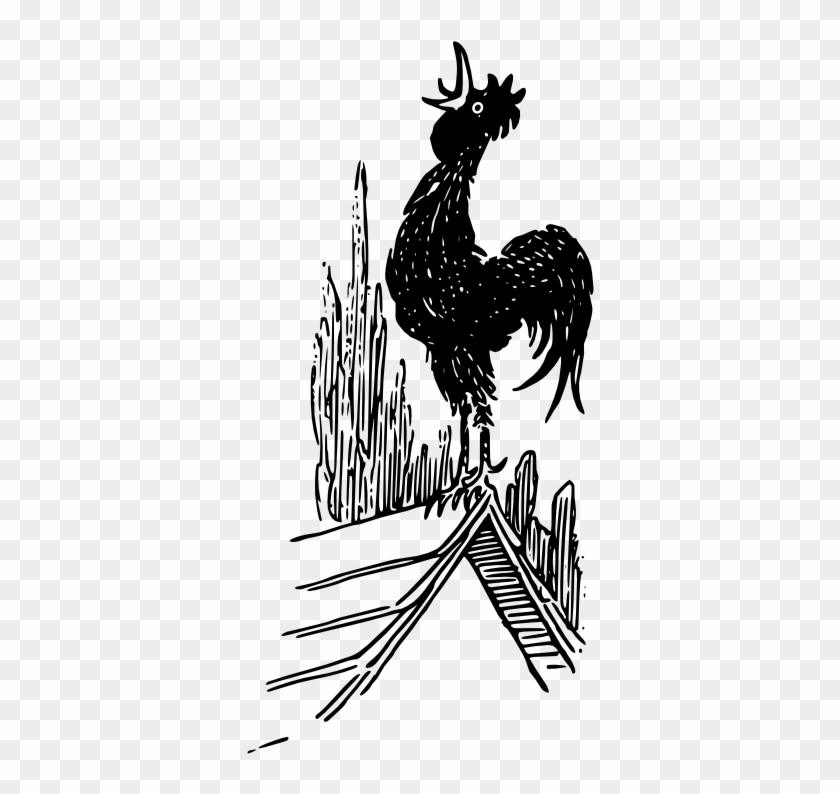 Picture Of A Rooster - Rooster #587062