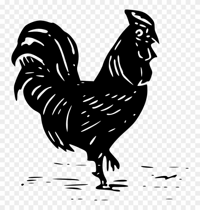 Cock Or Rooster - Cock Baby Chickens Drawings Png #587121