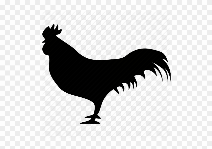 Rooster Icon - Icons Rooster #587192