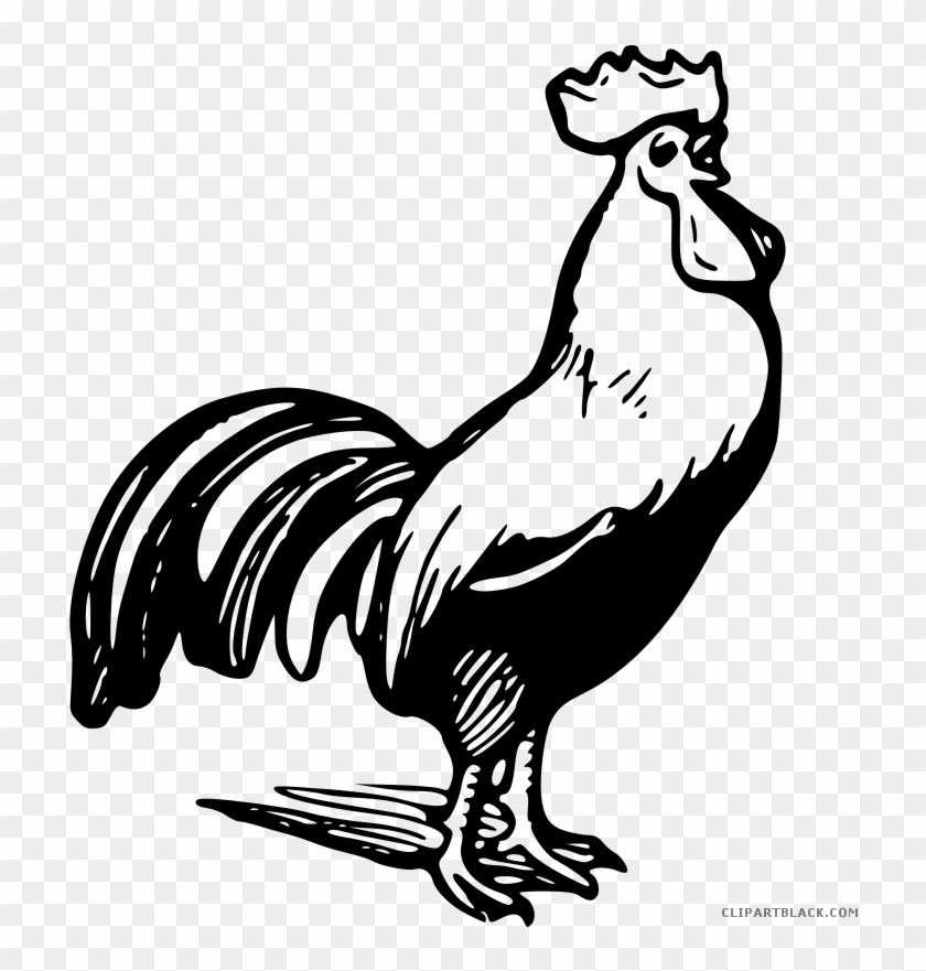 Black And White Rooster Animal Free Black White Clipart - Rooster Black And White Clip Art #587218