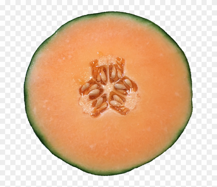 Cantaloupe Cliparts - Cantaloupe Png #587281