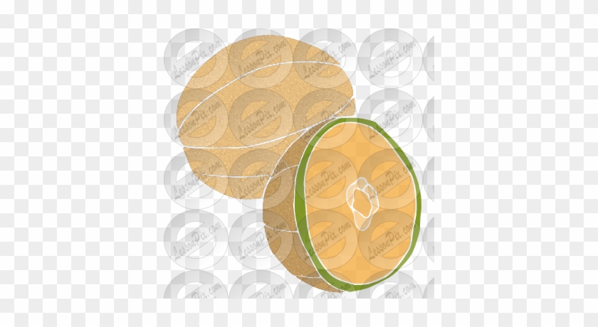 Cantaloupe Clipart Cartoon - Cartoon #587291