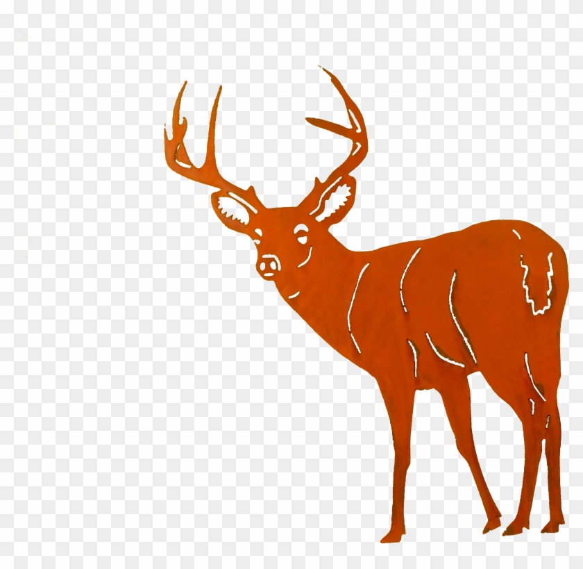 Buck2 Large - Deer #587459