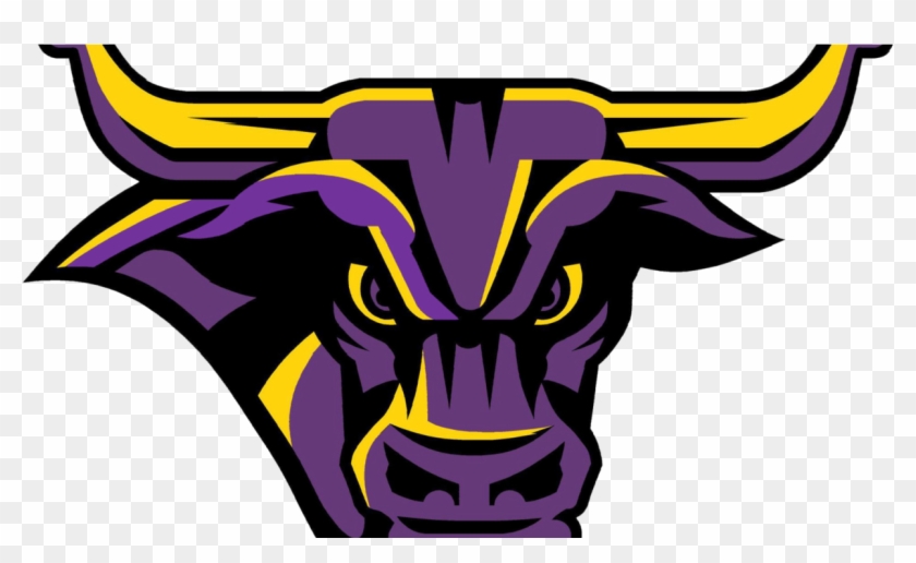 College Women's Hockey Preview - Minnesota State University, Mankato #587502