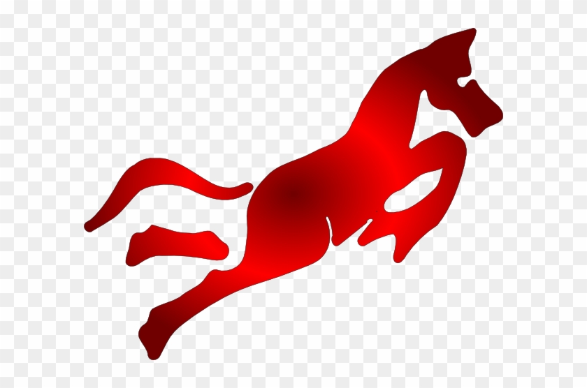 Horse #587691