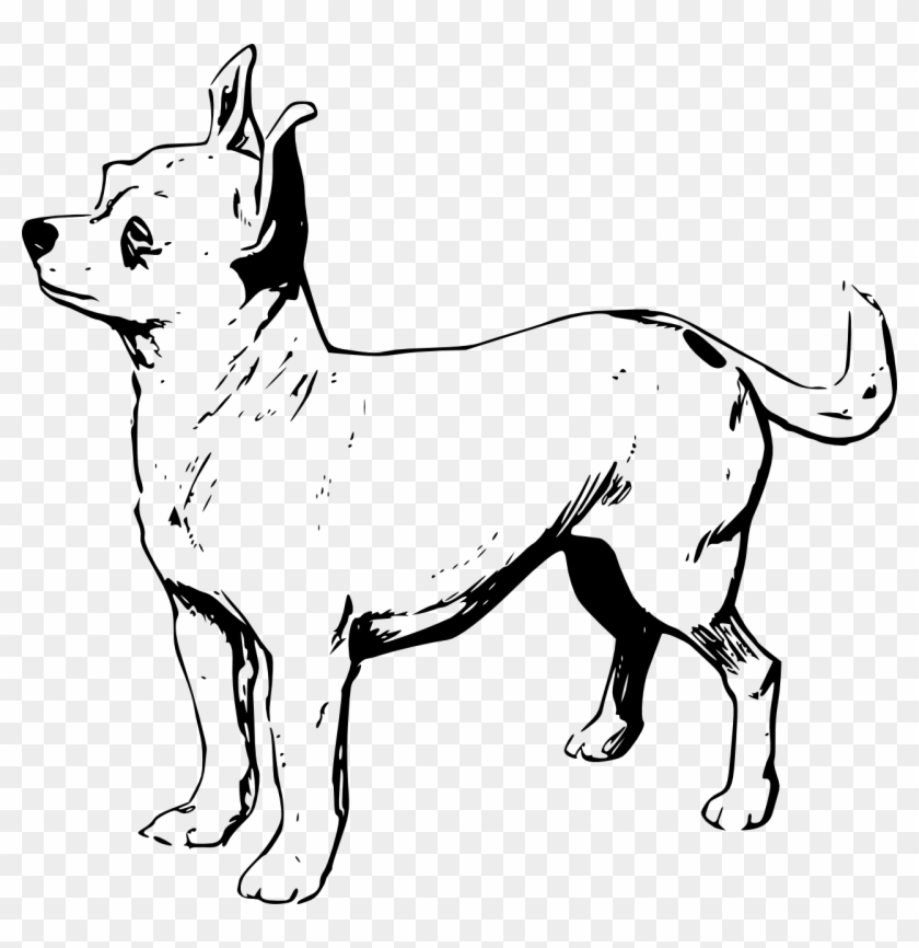 New Chihuahua Coloring Pages Free Printable 13173 Throughout - Coloring Pages Chihuahua Dogs #588658