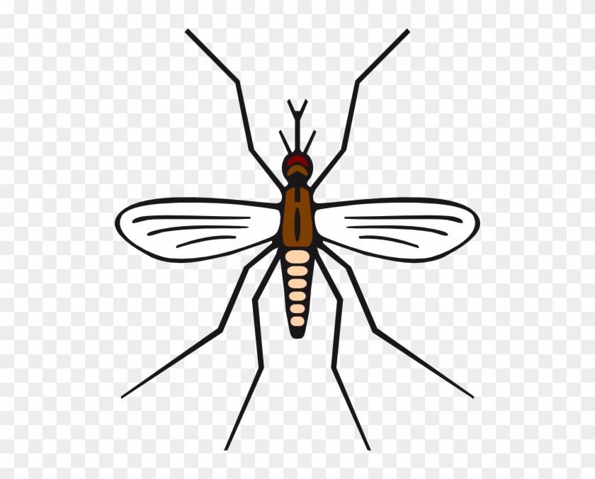 Mosquito In Brown Color Clip Art - Mosquito Black And White #589071