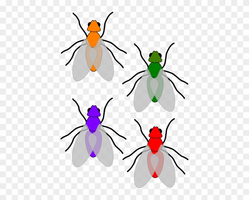 Clip Art Of Flies #589082