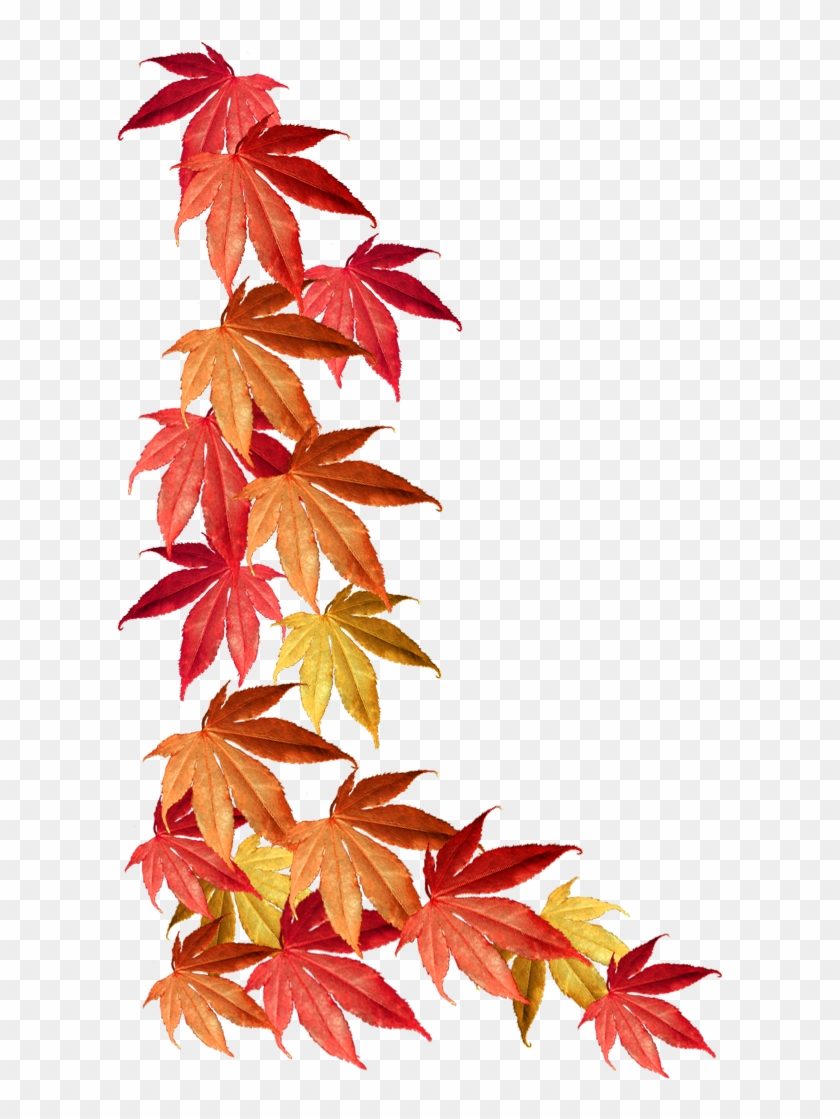 Border Of Autumn Leaves - Autumn Leaves Border Png #103397