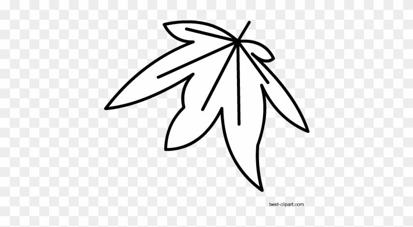 Black And White Fall Leaf Clip Art - Clip Art #103526