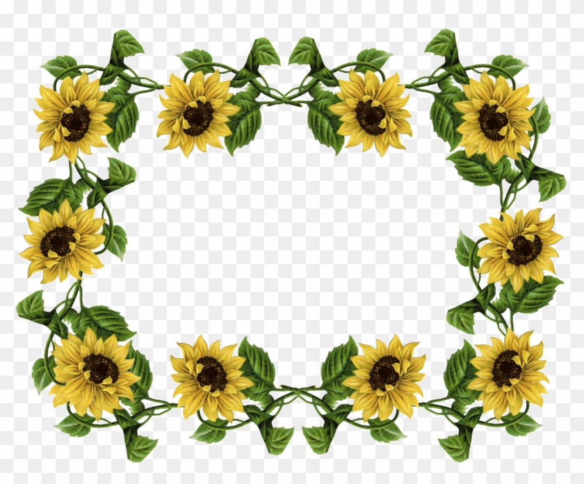 Sunflower Pics Frame - Sunflower Border #103953