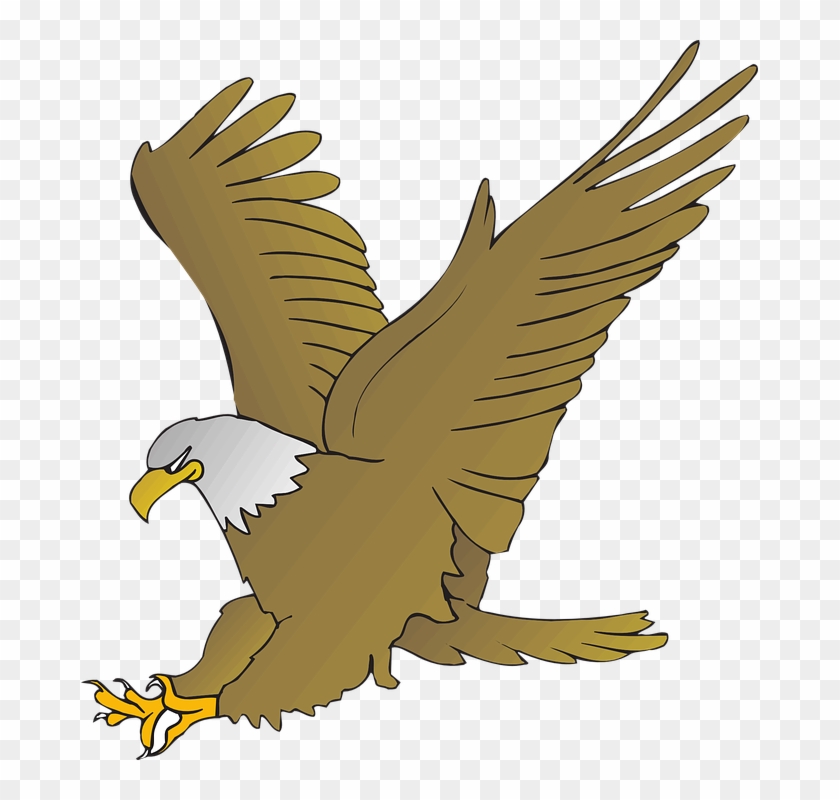 Animated Picture Of An Eagle #103957