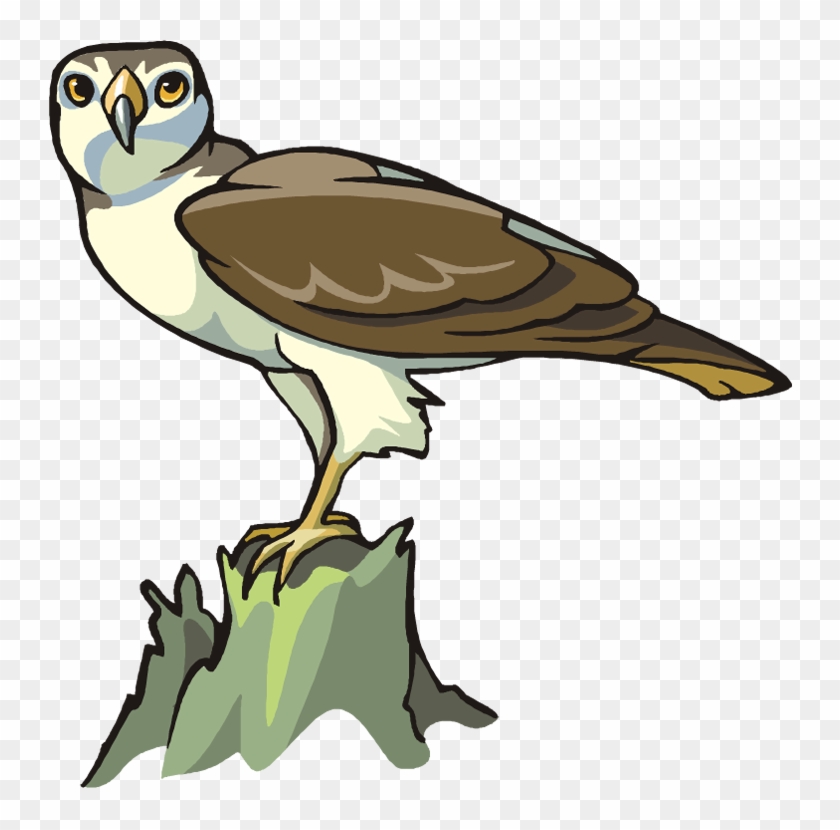 Free Eagle Clipart - Bird Of Prey #104134