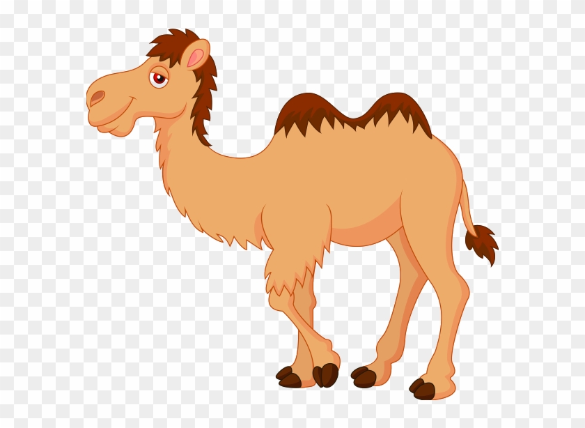 Cute Camel Clipart Funny Pictures - Camel Cartoon #104386