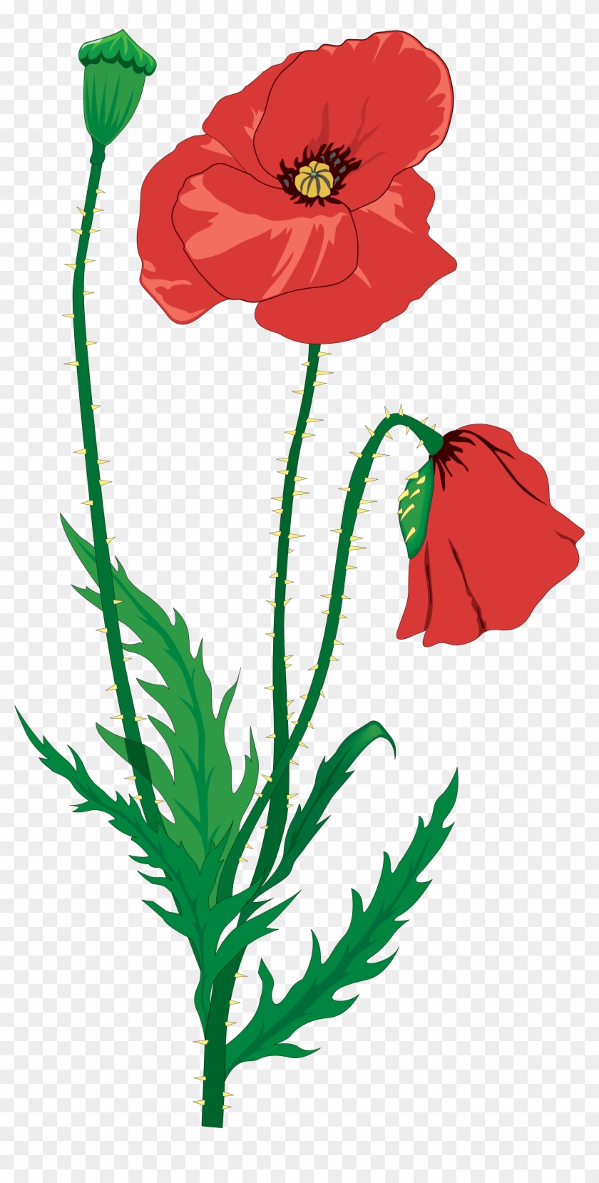 Drawing Flower Clip Art - Memorial Day And Poppies #104635