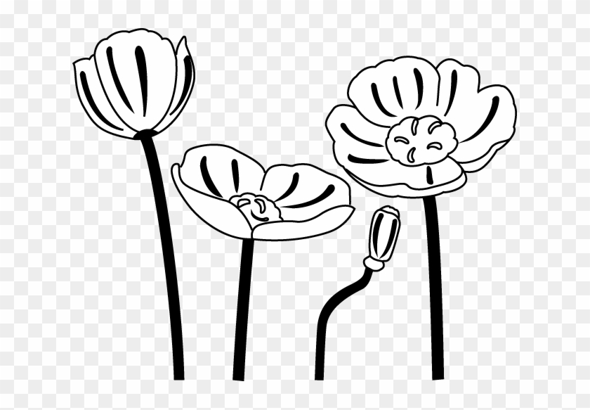 Poppy Clip Art Black And White - Poppies Black And White Clipart #104696