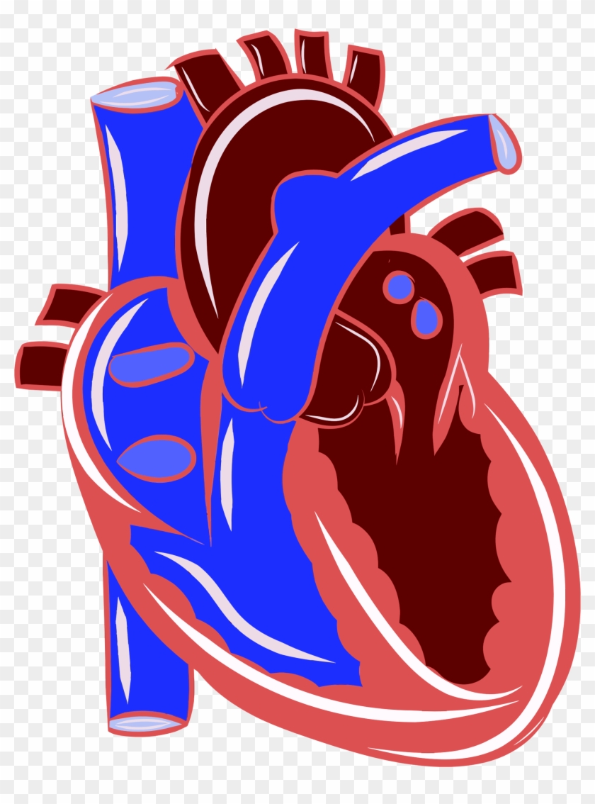 Big Image - Cartoon Realistic Heart - Free Transparent PNG Clipart Images  Download