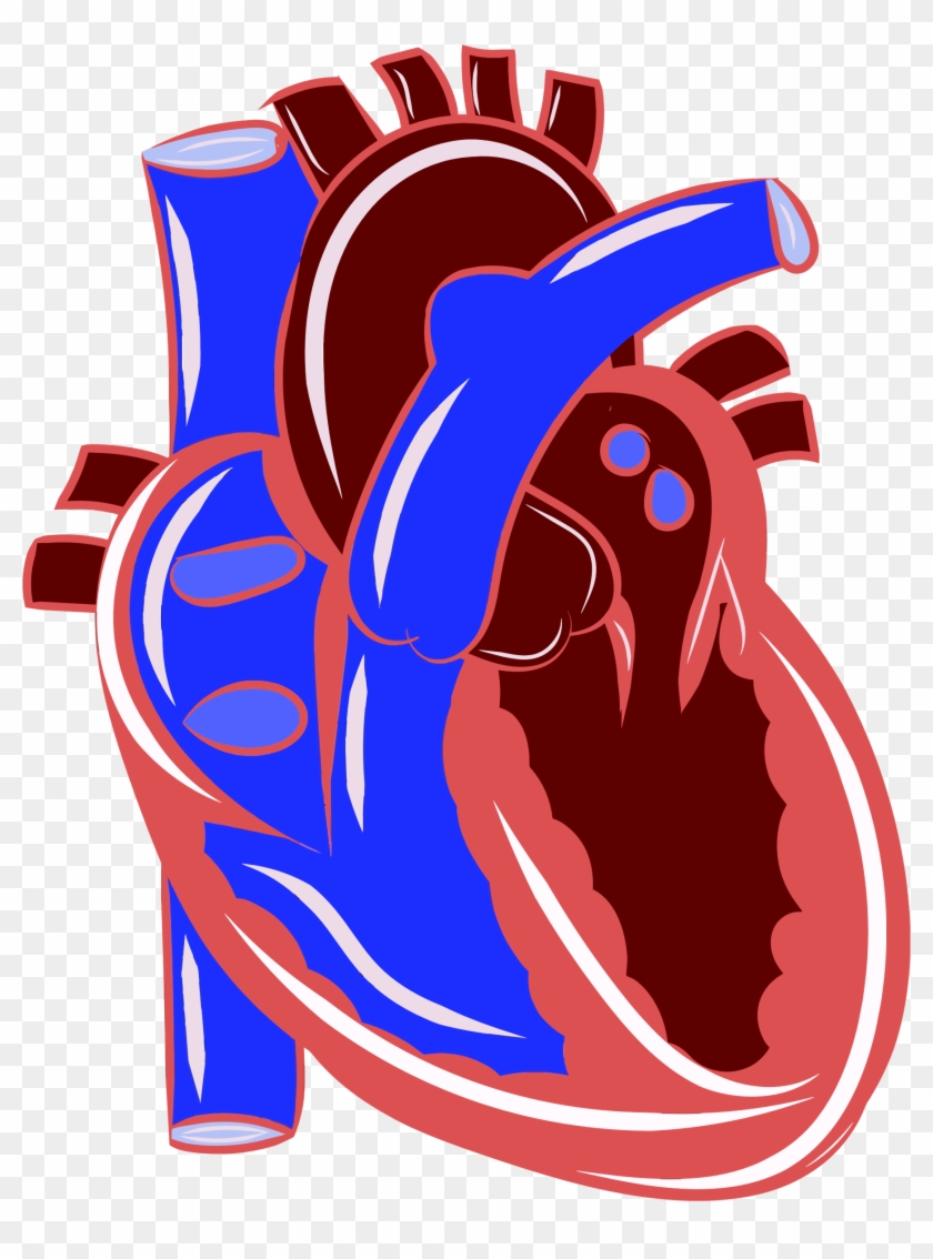 Big Image - Cartoon Realistic Heart #105028