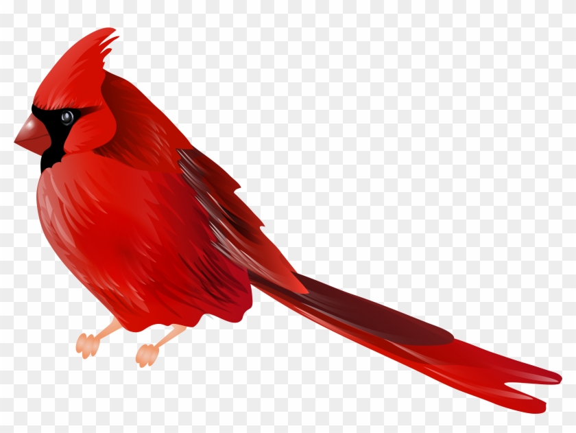 Cardinal Bird Png Clip Art - Cardinal Clipart #106383
