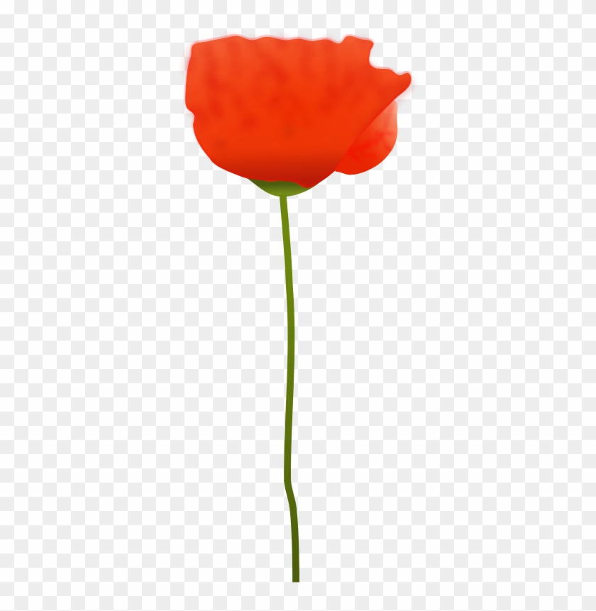 Poppy Flower Clip Art - Free Picture Of A Poppy Flower #107188