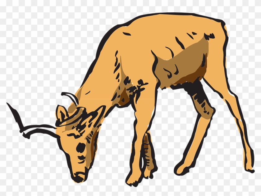 Horns Clipart Wildlife - Deer Eating Clipart #107397