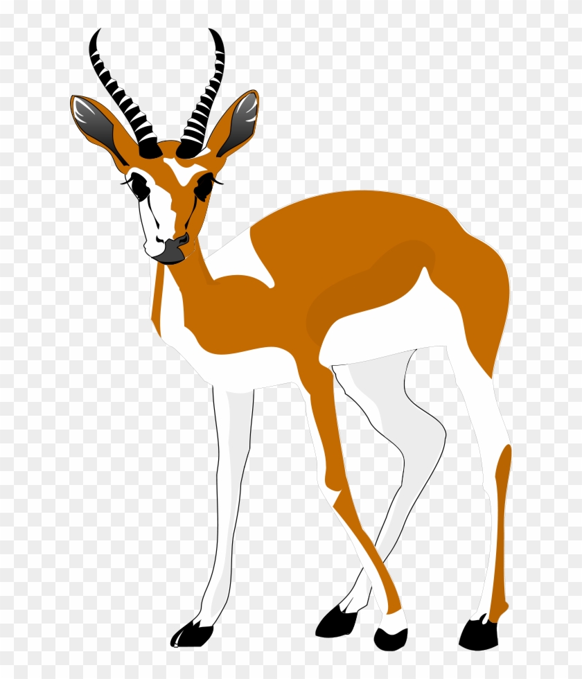 Animal 1 Clipart, Vector Clip Art Online, Royalty Free - Antelope Clipart Png #107408