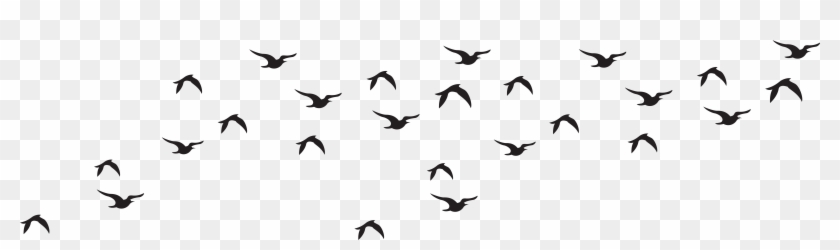 Wildlife Clipart Bird Flock Pencil And In Color - Birds Black And White Png #107422