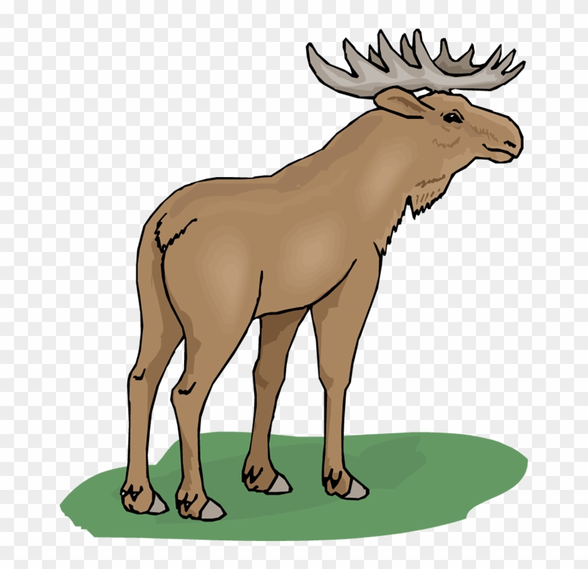 Top 75 Moose Clip Art - Moose Clipart #107476