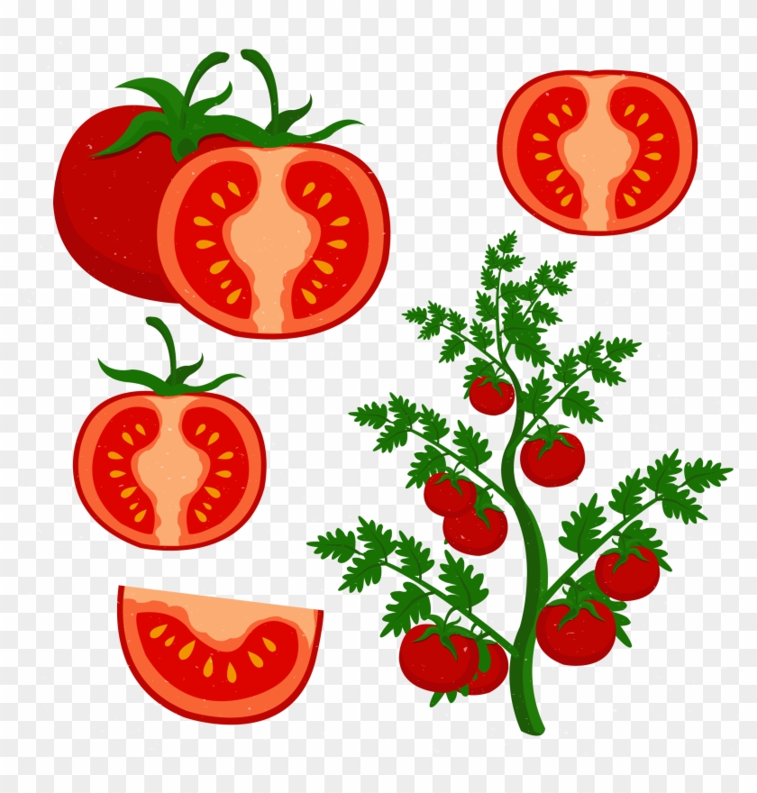 Cherry Tomato Clip Art - Cherry Tomato Clip Art #108717