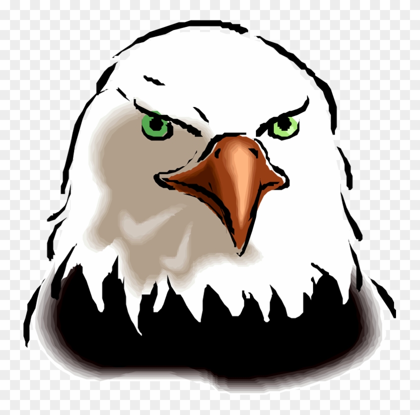 Free Image Of Eagle Head - Face Of A Bird #110146