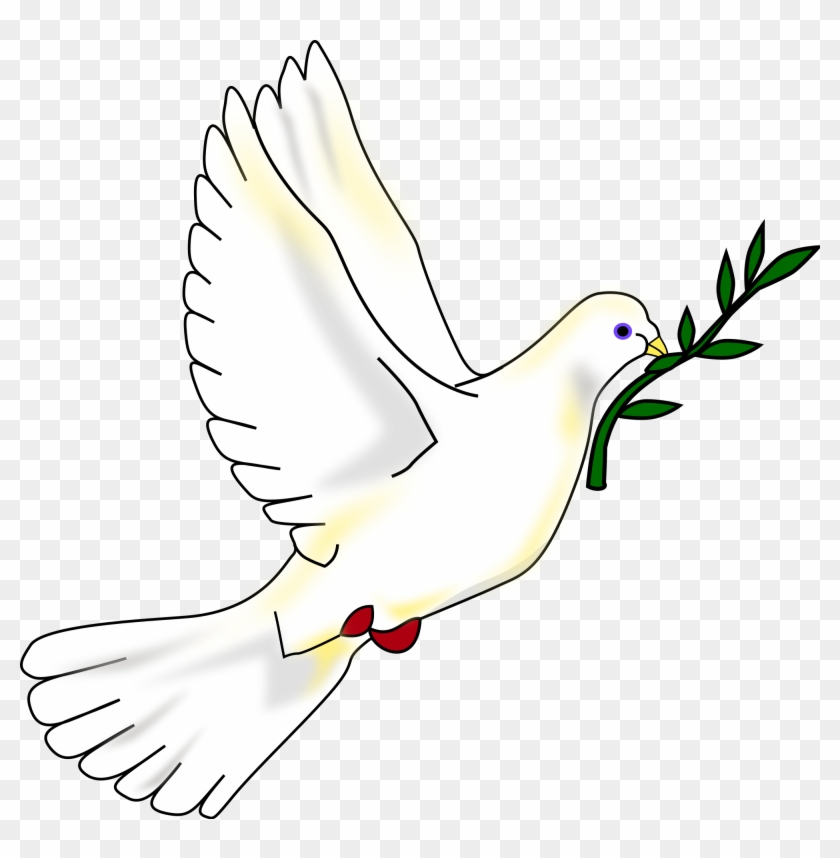 Peace White Dove With Olive Branch Clipart - Simbolo De La Paz #110743