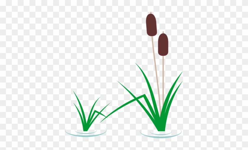 Cattails Clip Art Cattail Clipart Free Download On - Cattail Clipart #111691