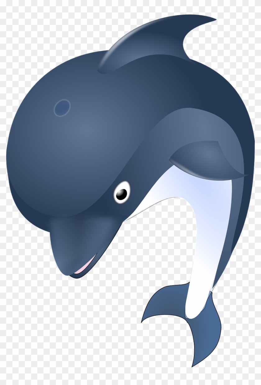 Dolphin Free Png Transparent Background Images Free - Dolphin Clipart #111752