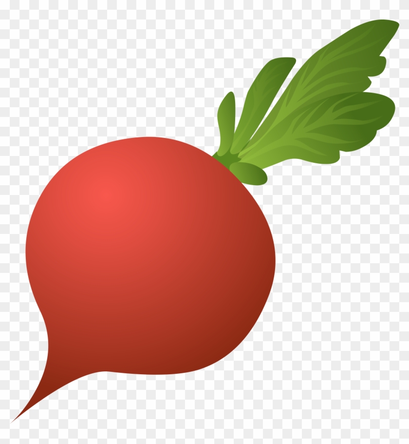 Clipart Radish #111781